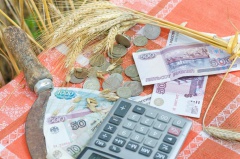 Субсидии малым формам хозяйствования