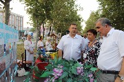 IMG_2434_result.JPG