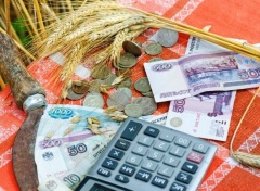 Субсидии на поддержку сельскохозяйственного производства