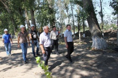 Реконструкция городского парка