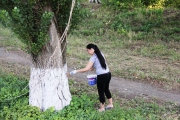IMG_5613.JPG