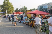 IMG_2811_result.JPG