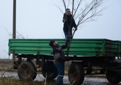 Городской календарь с 4 декабря по 8 декабря
