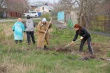  В минувшие выходные в городе прошли очередные субботники. 