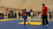 Открытое первенство  по всестилевому карате