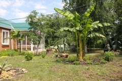 Лучшие клумбы Кореновска