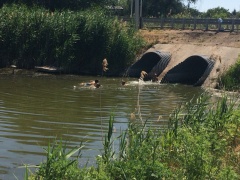 Купаться разрешено только на городском пляже!