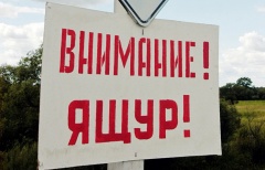 Внимание! Ящур!