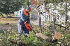 Благоустройство города