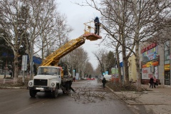  Сезонная обрезка деревьев