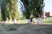 IMG_5605.JPG