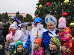 Новогоднее чудо