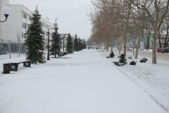Прогноз погоды