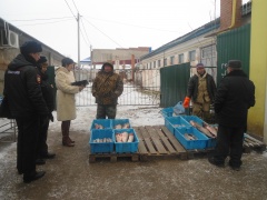 Рейды продолжаются
