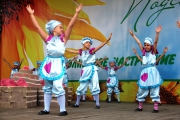 IMG_2910.JPG