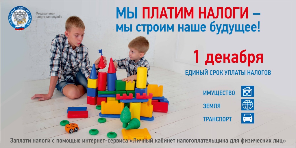 налоги.jpg