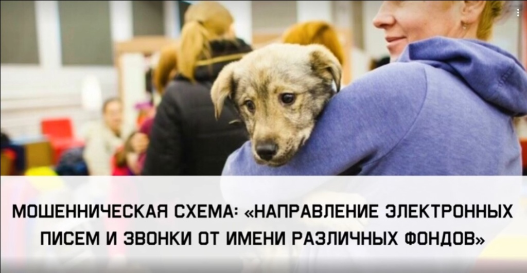 Снимок экрана 2024-11-14 104532.jpg Снимок экрана 2024-11-14 104532.jpg