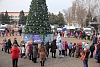 Открытие городской елки